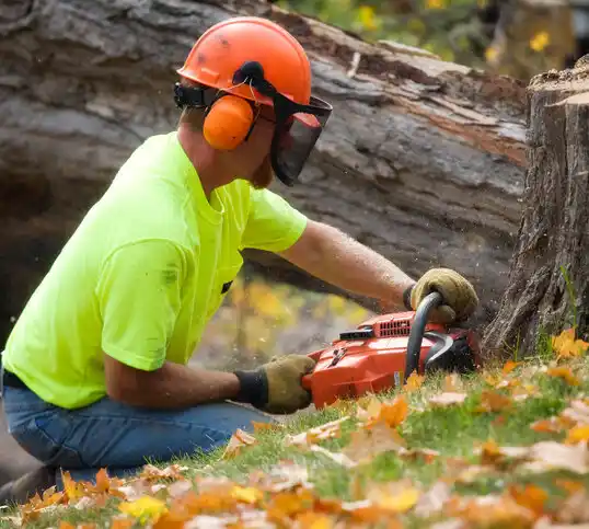 tree services Country Lake Estates